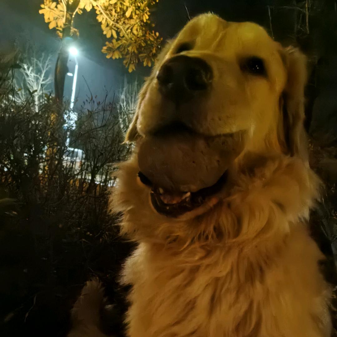 为遇见你而伏笔