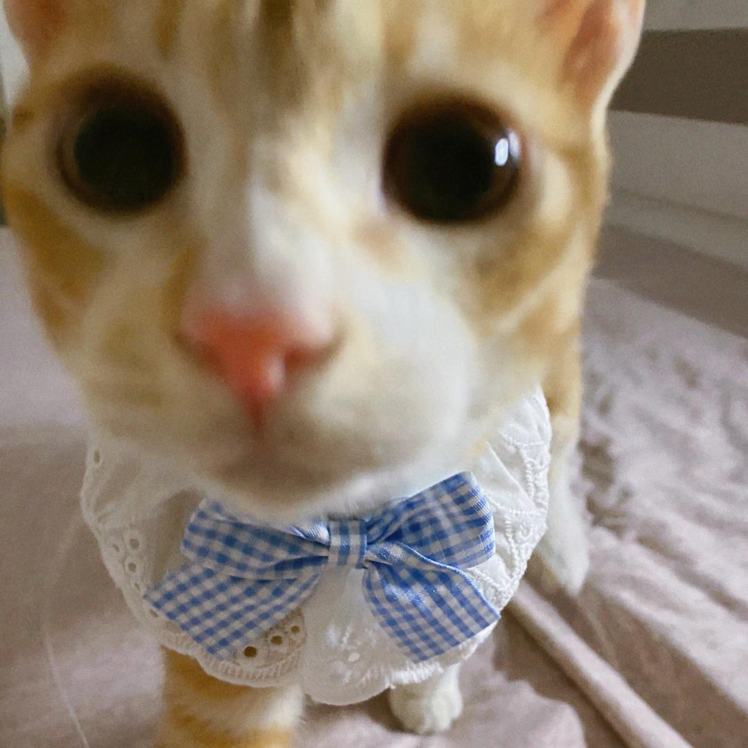 王艺潼·