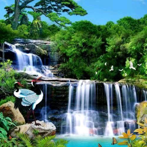 广西加百加海棉