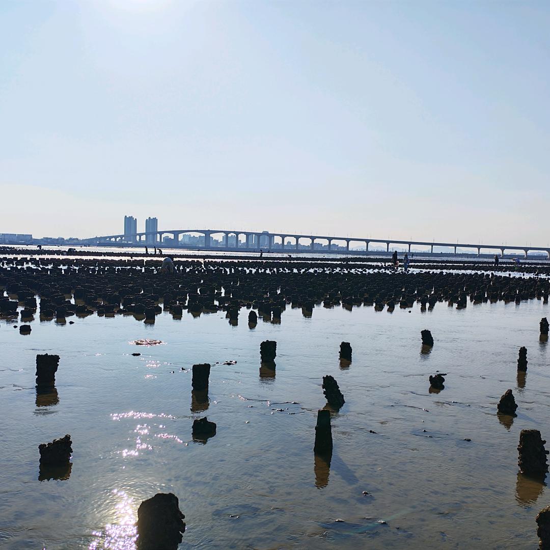 海角之燕