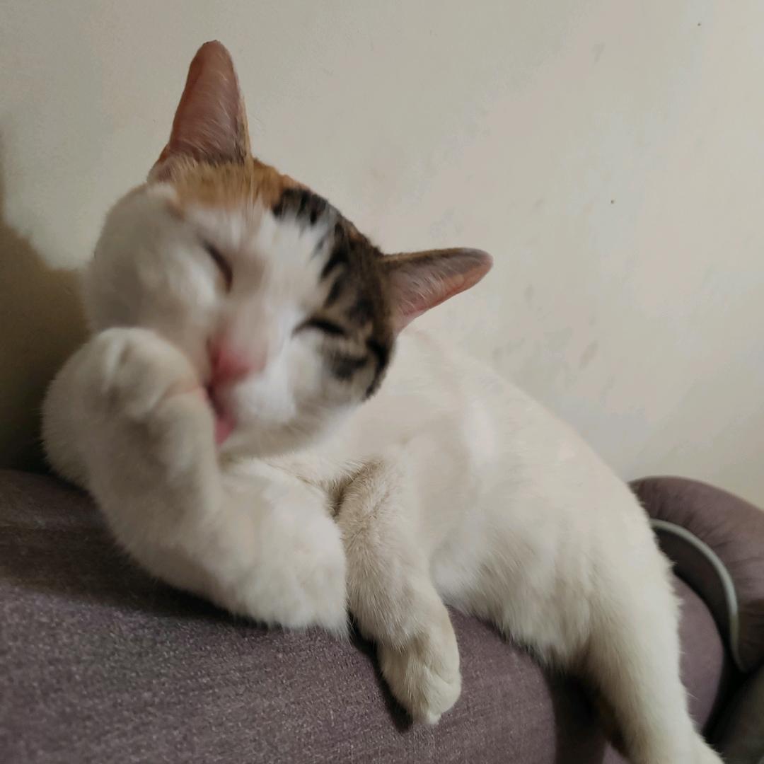 猜猜