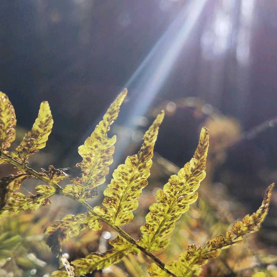 四川谢支书日常跟拍