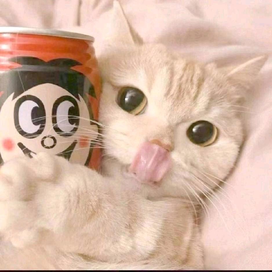 👁ܫ👁