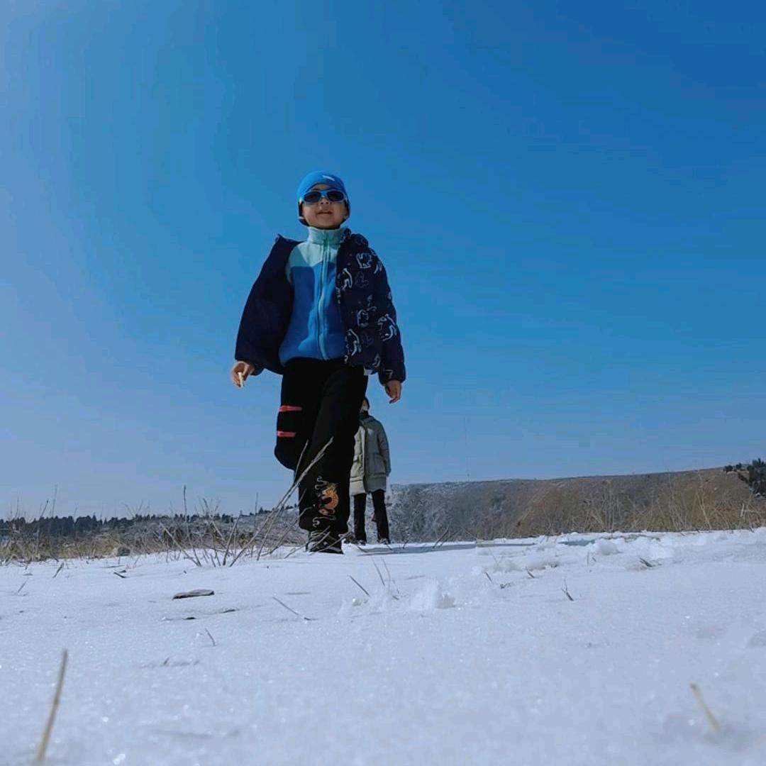 一条闲小鱼