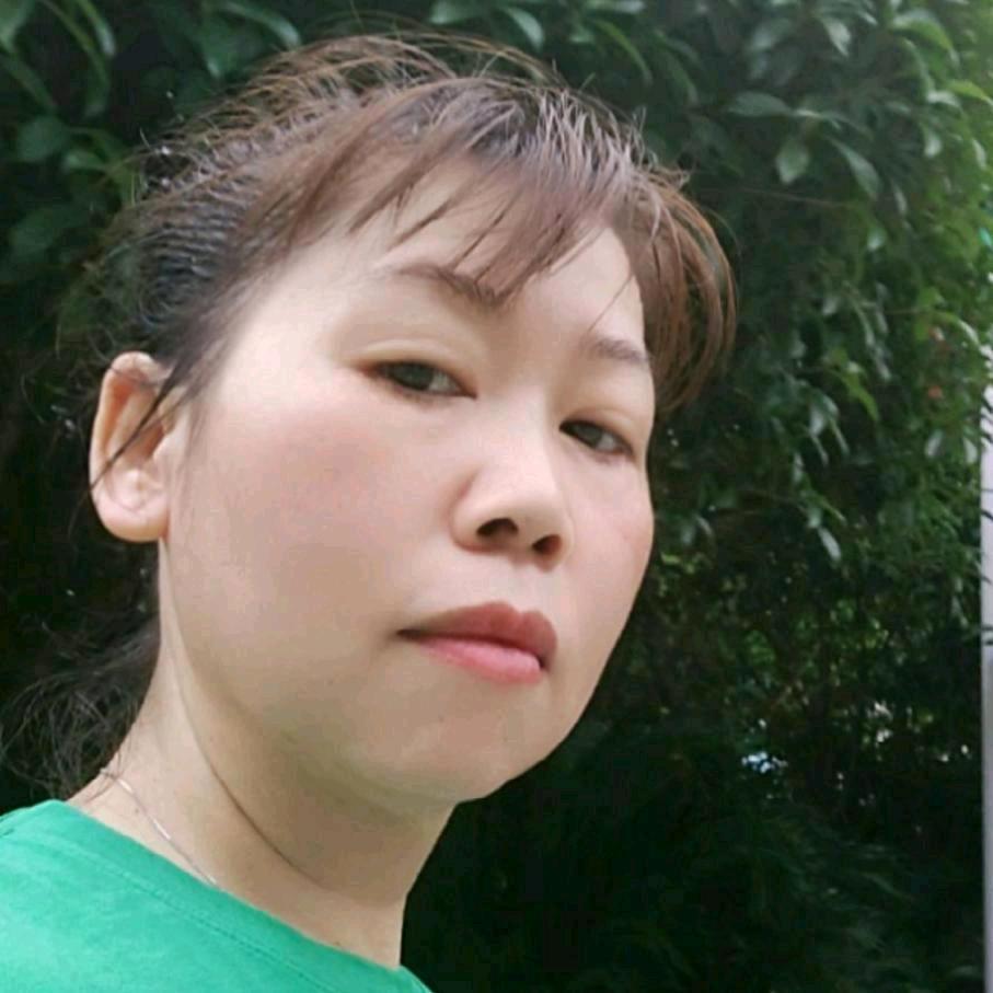 春风醉柳