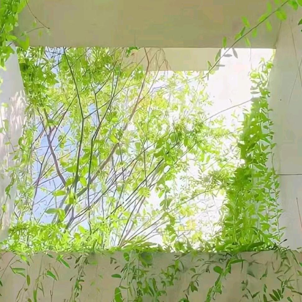红姐新能源