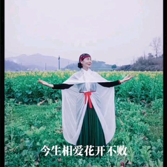 湘西秦姨👏