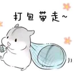 稚音AYin