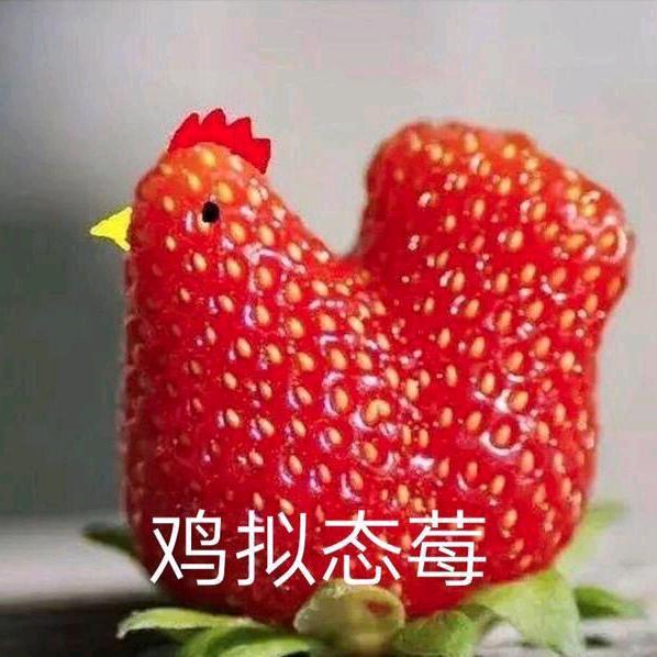 老衲法号乱来