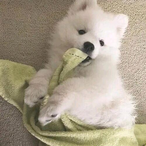 vvvvv