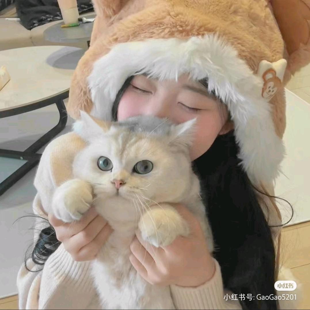 脆脆小鱼饼