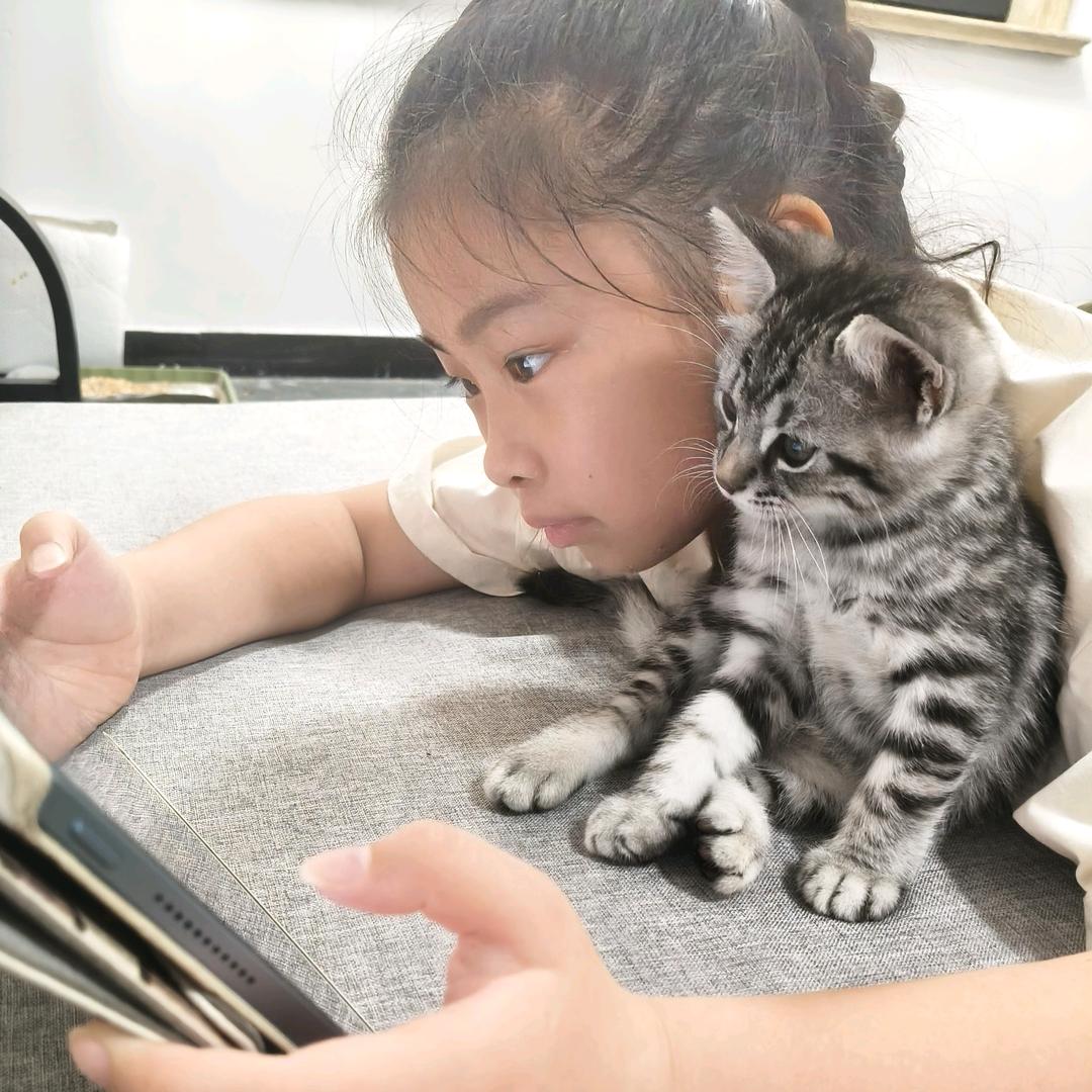 💕钱程.似锦🐑🐇