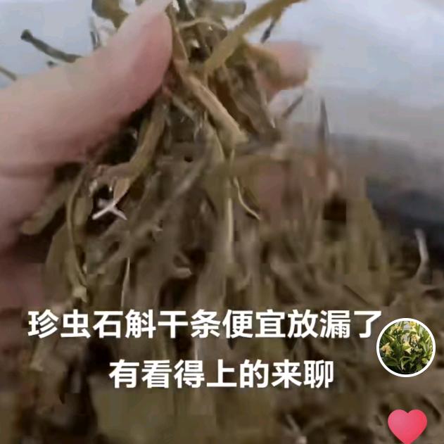 醉清风