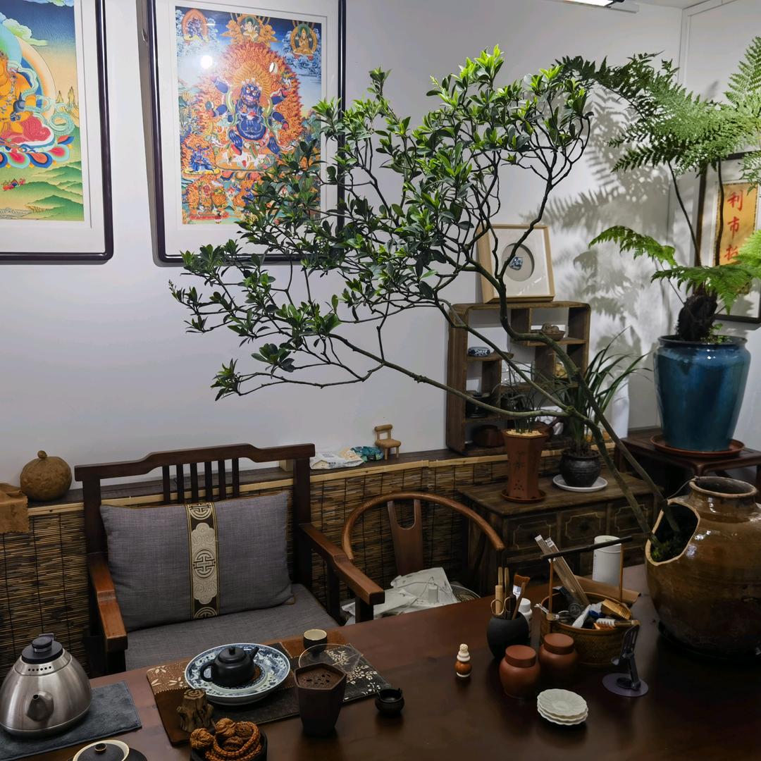 东北憋尿总冠军