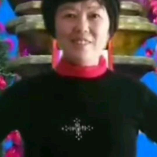 何家老太太