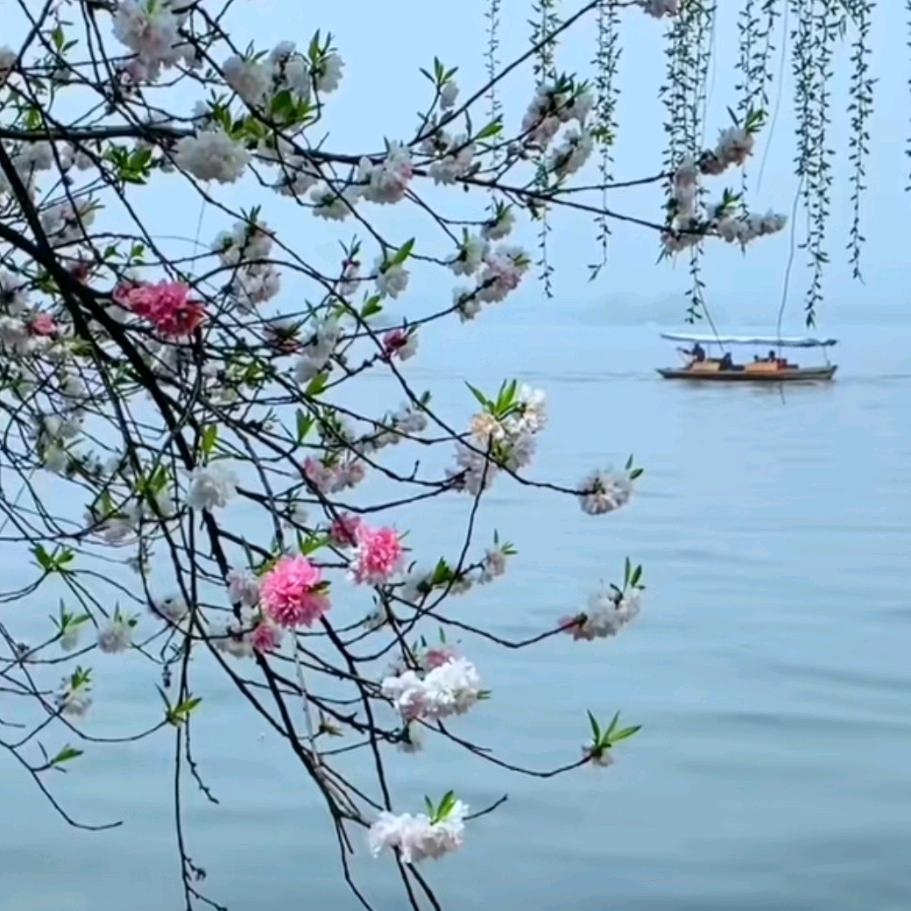 最美是向上的自己