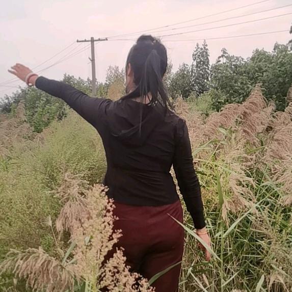 芳心静馨
