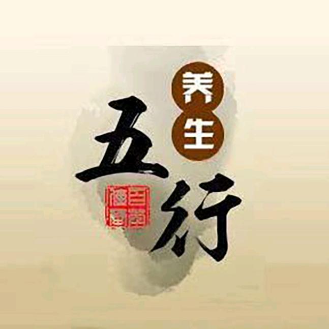 五行健康辨证论