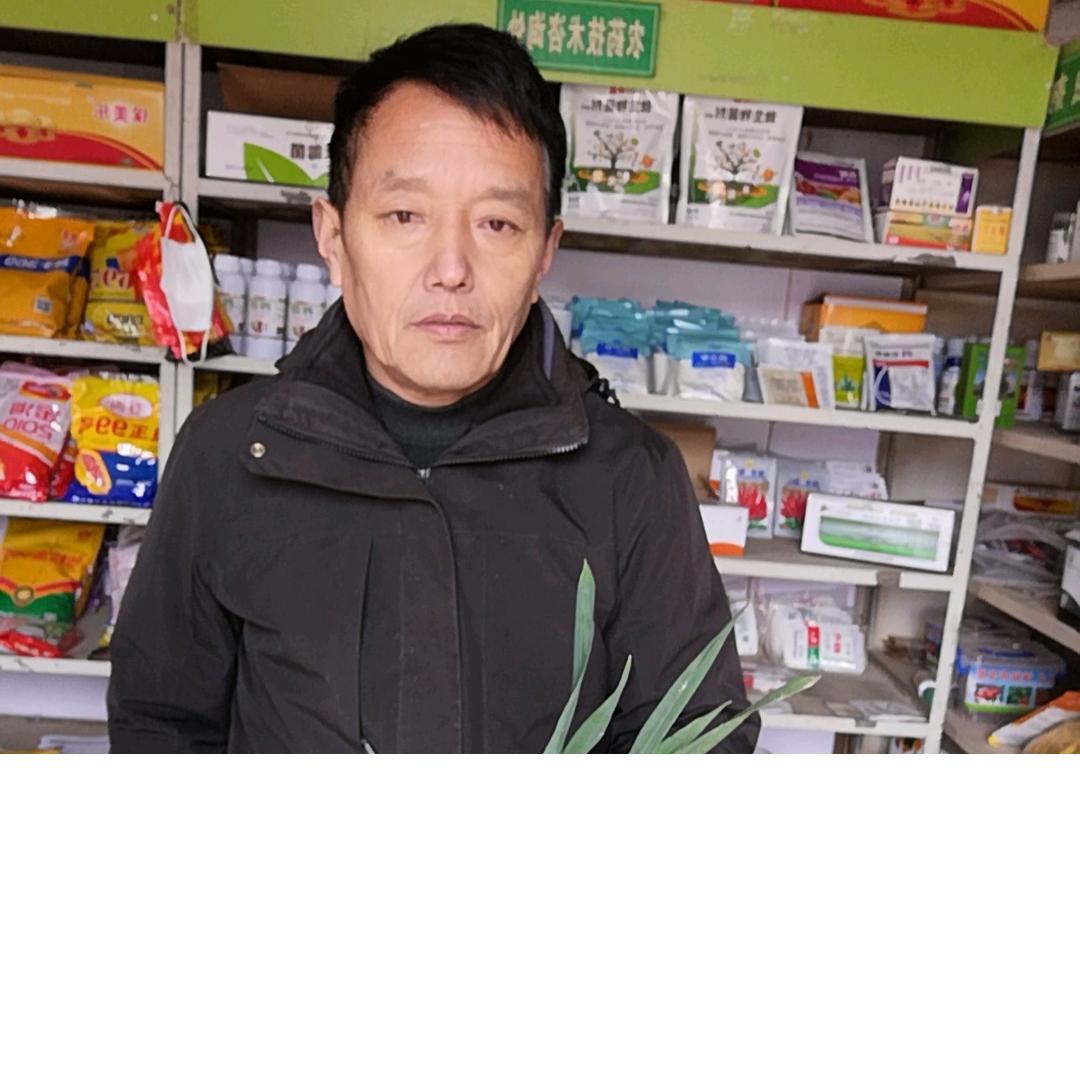 太康县司洪臣