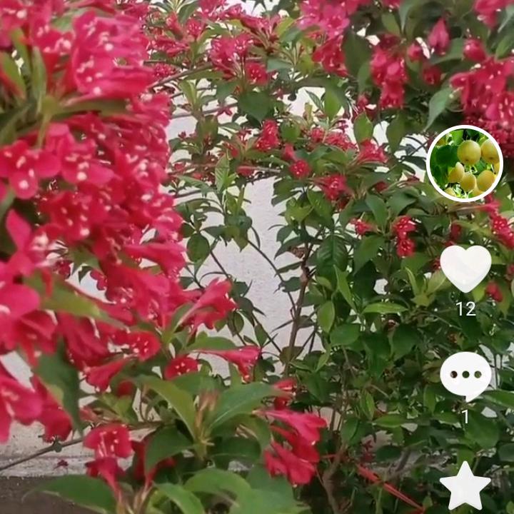 心里有你