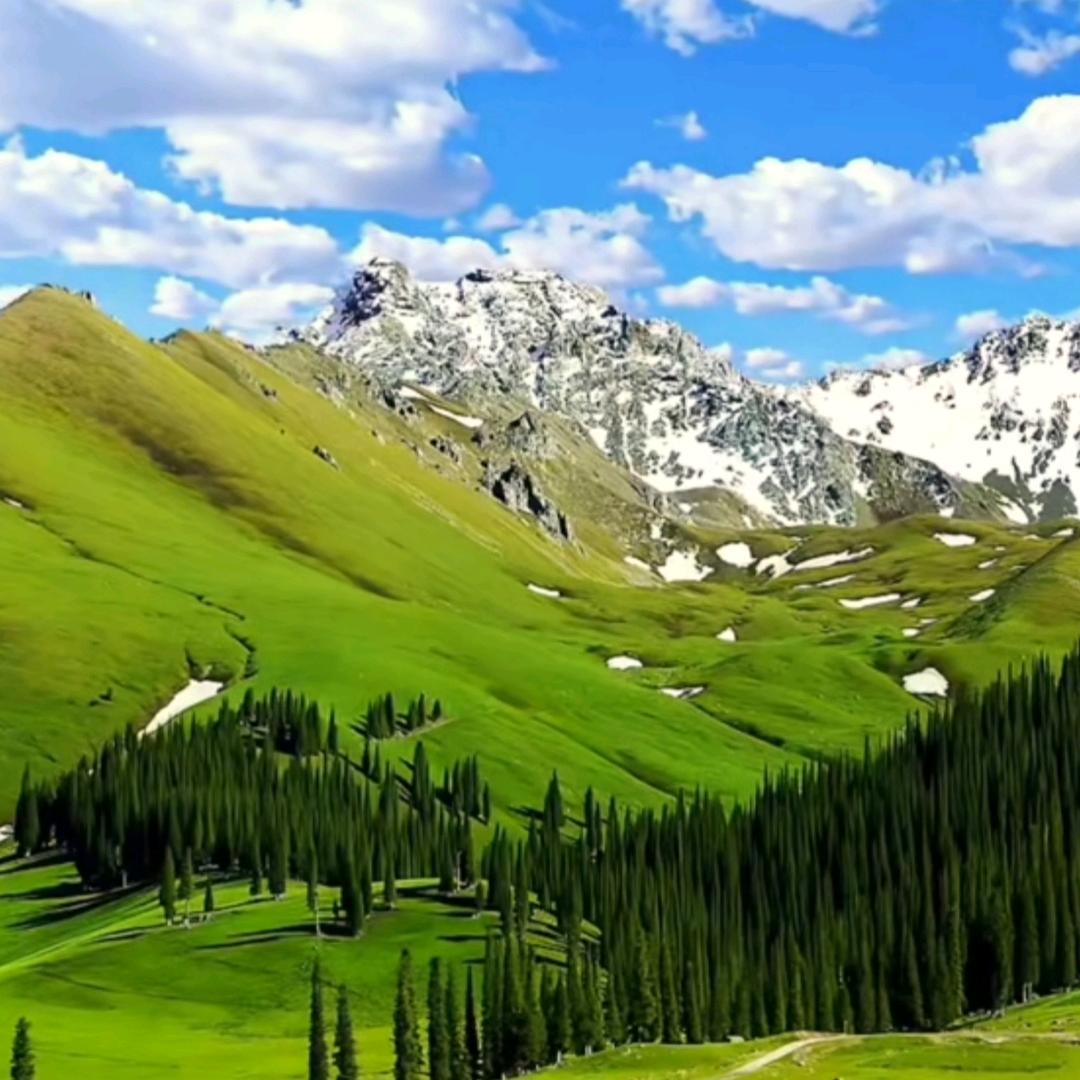 🍀好运༺༒༻🍀