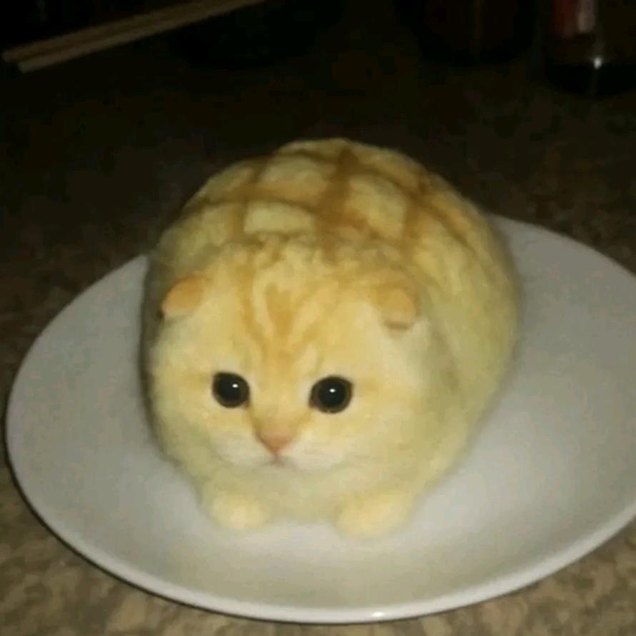 快乐小薯