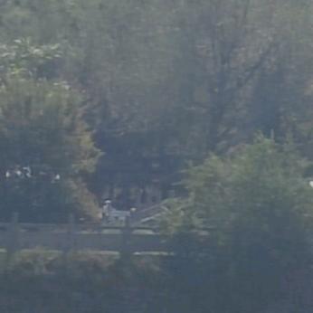 @🐝╭幸╯🐉╰福╮🐝