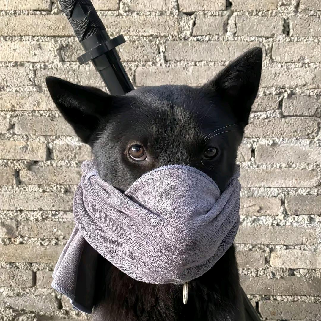 llllzz.