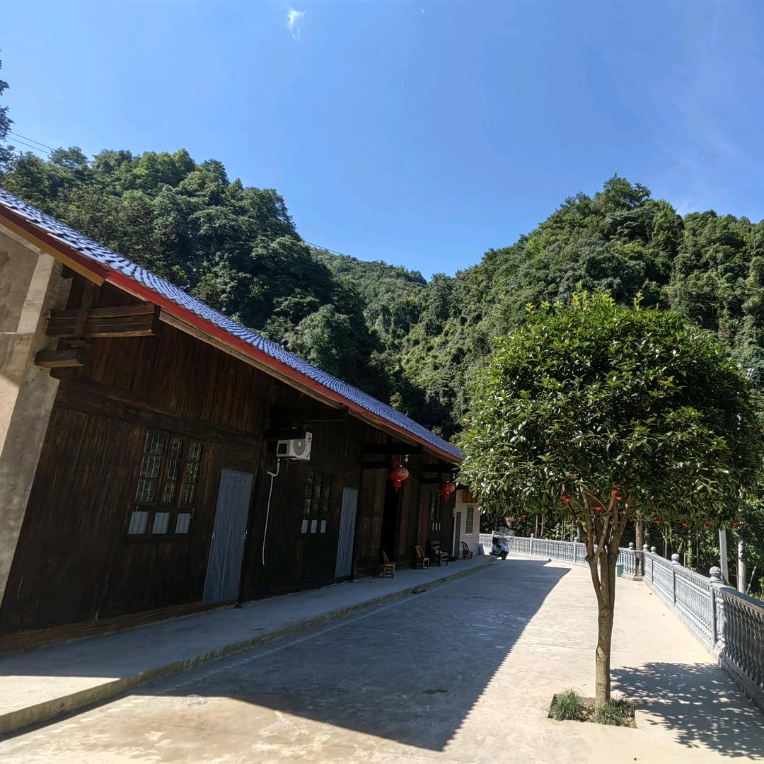 L媛