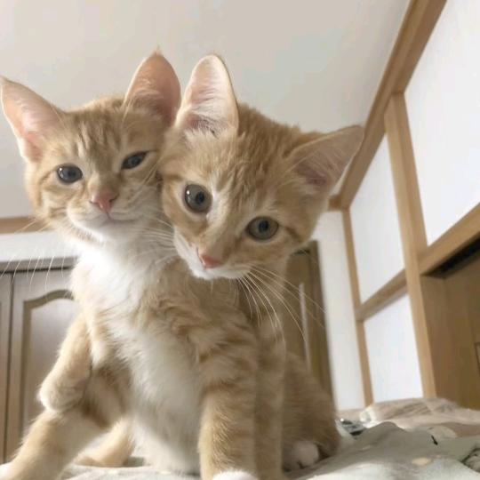 我有我自己的名字