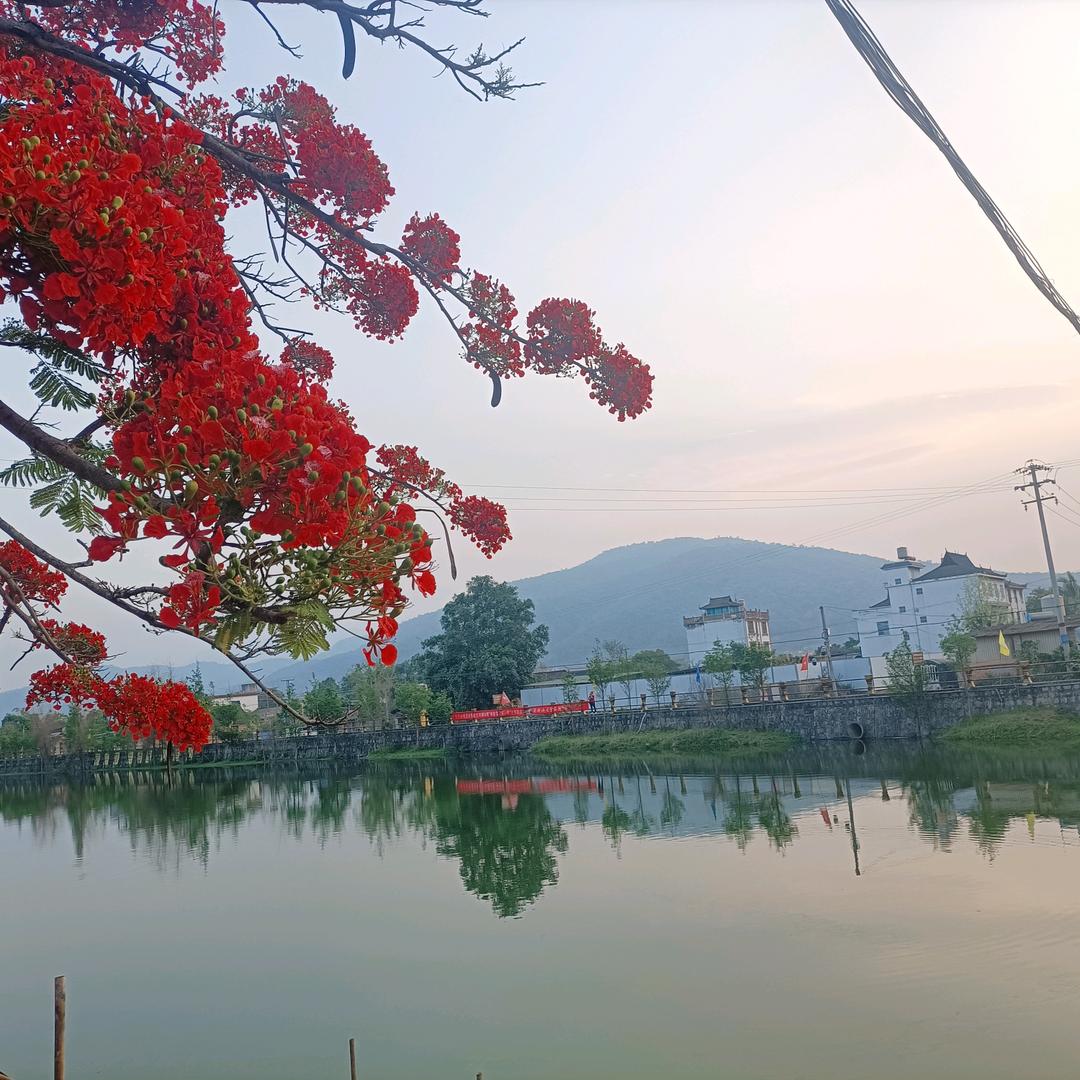 芳姐    分享生活