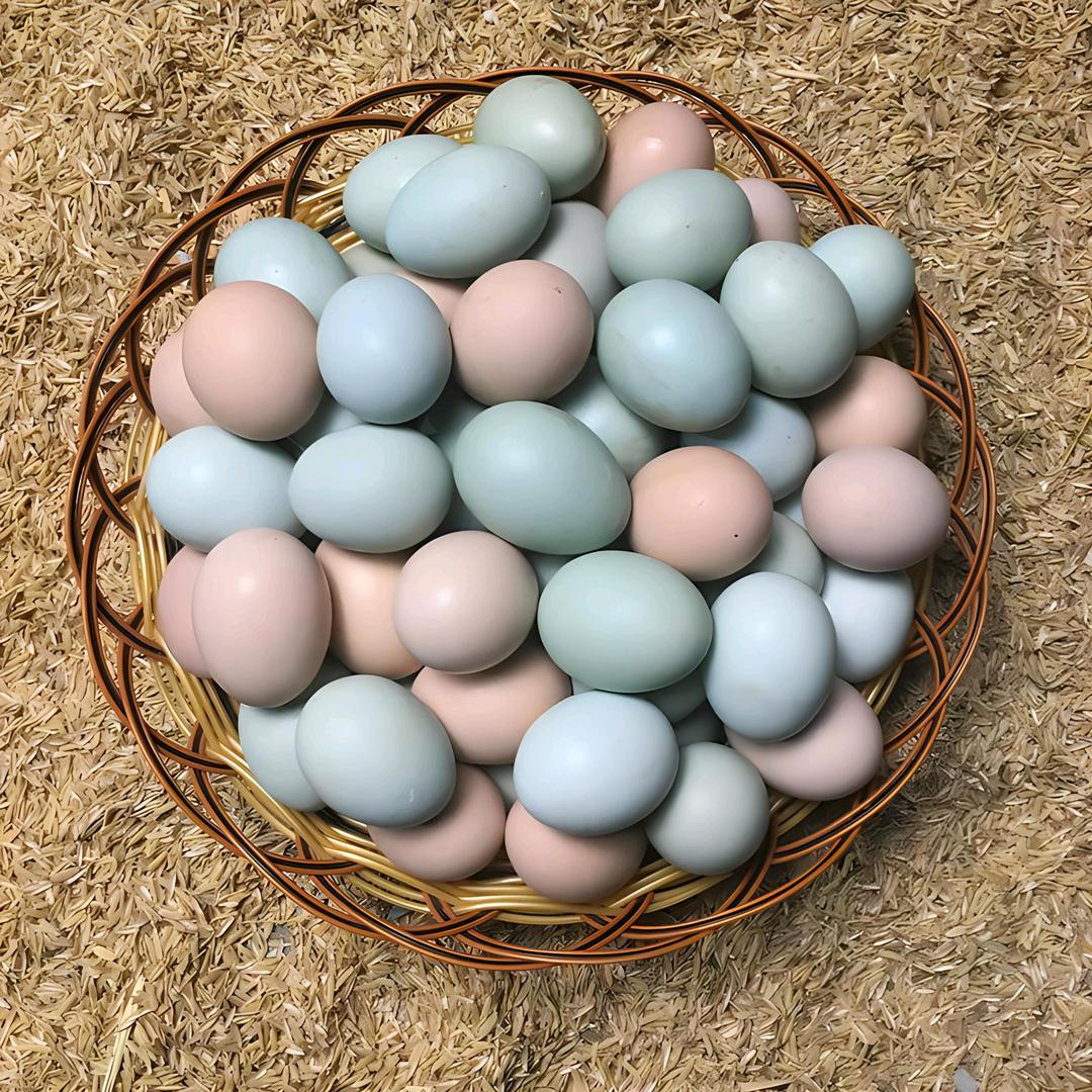 阿哥助农生态养殖场