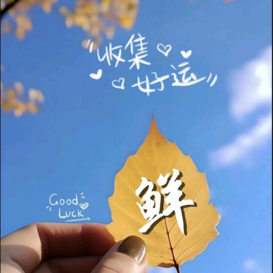 FENG凤儿