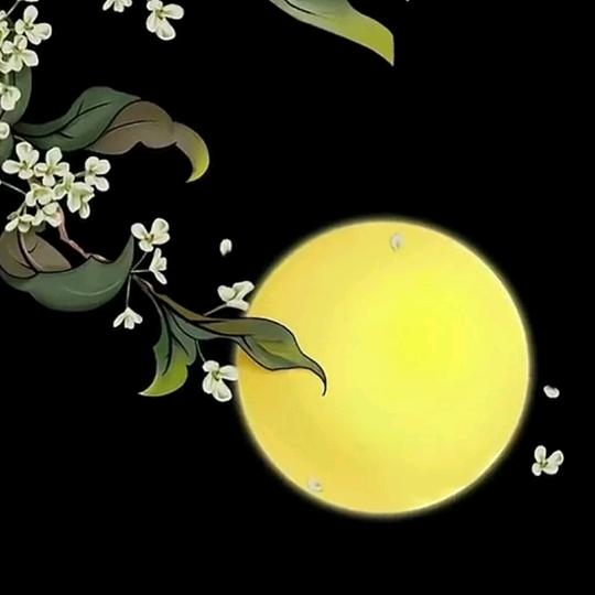 德州开发区租房