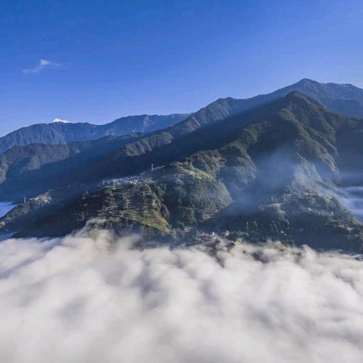 77年的蛇🐍🌹🌹