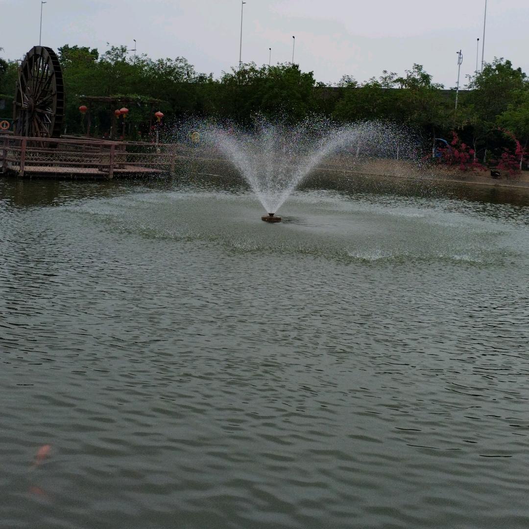 保源古钱币鉴定