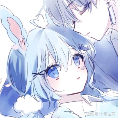 兔贝贝