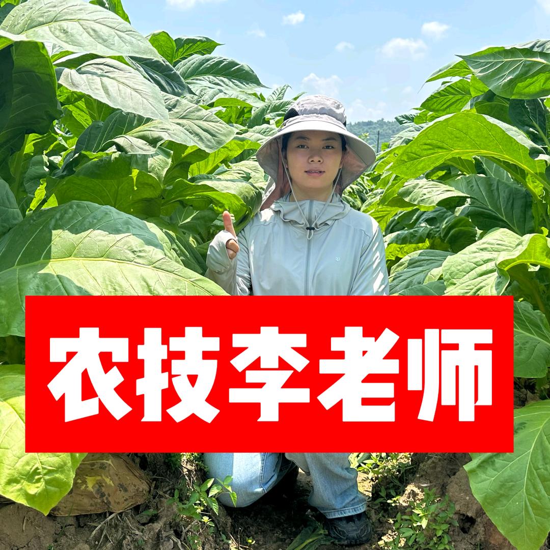 李老师聊作物（国光农化）