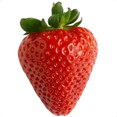 阴暗疯批蟑螂小老太