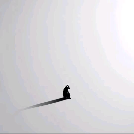 魚鹿