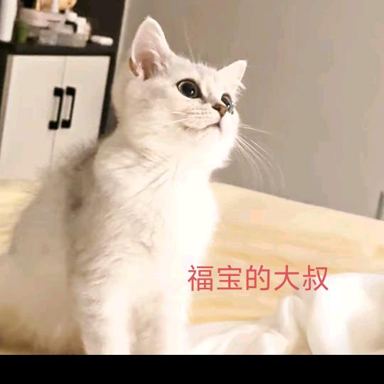 转 角 遇 到 叔 3