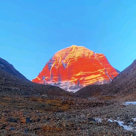 雪墨艺术(收藏)家