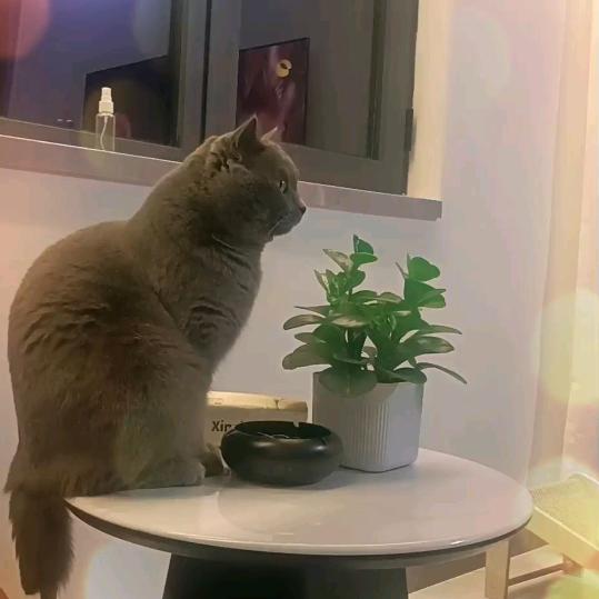 卓跃教育祁老师