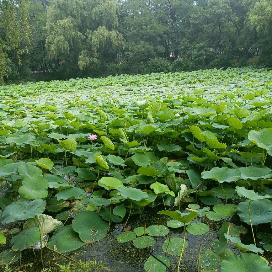 沐溪源风水咨询