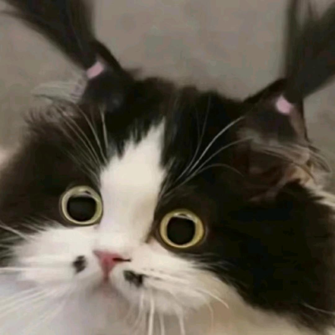 孤