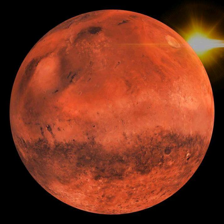 火星外贸