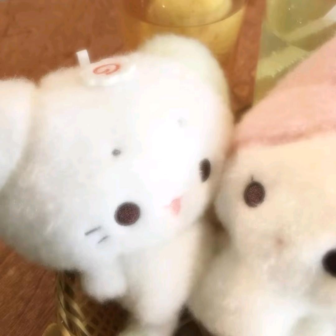 小叶子