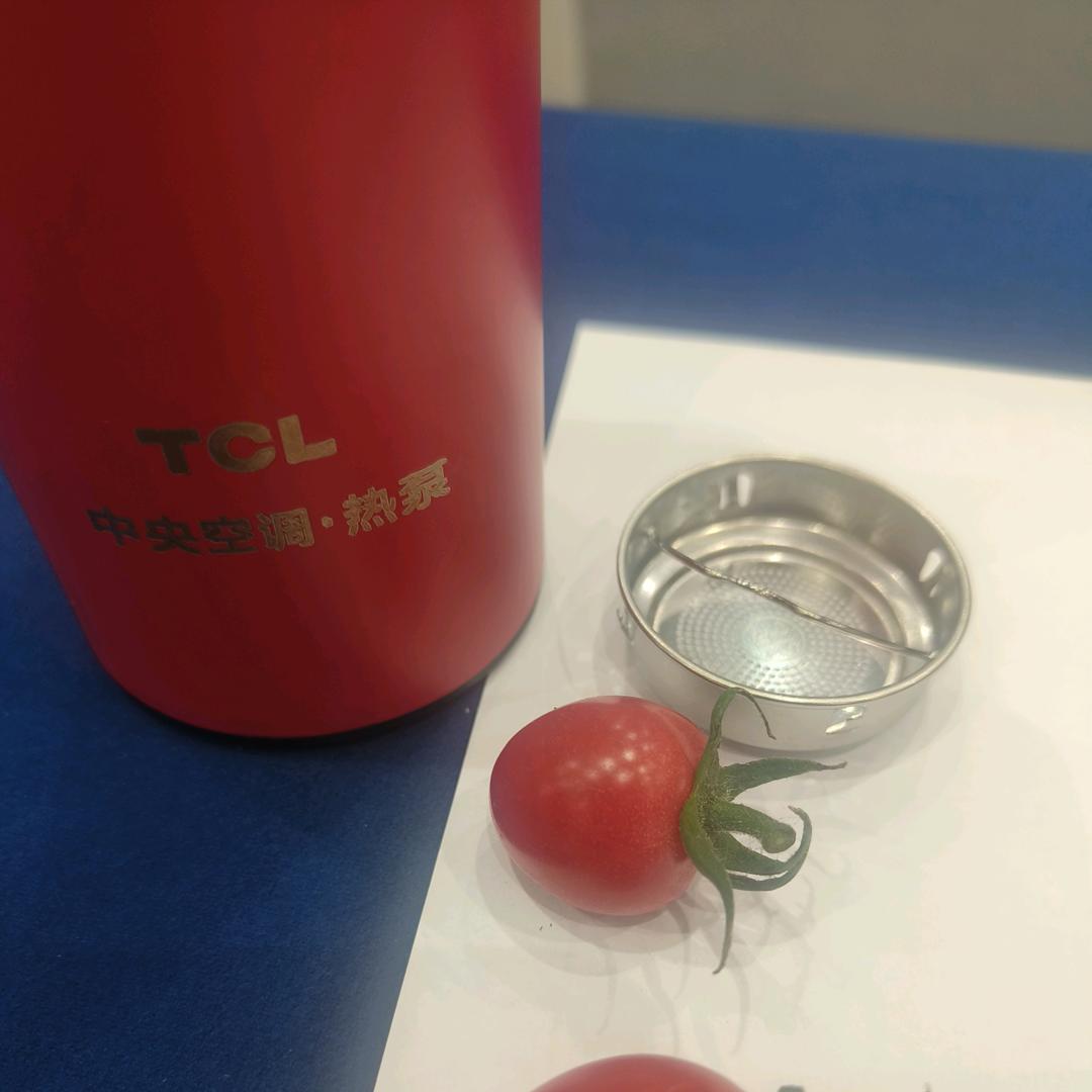 木子琳