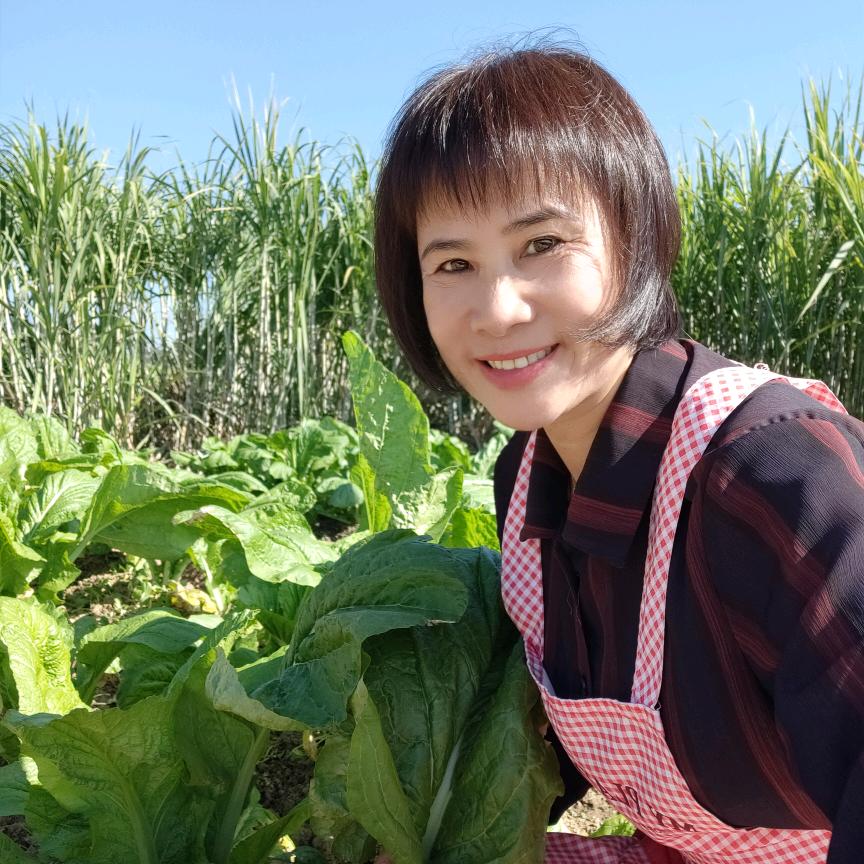 李三姐11：13（上午）