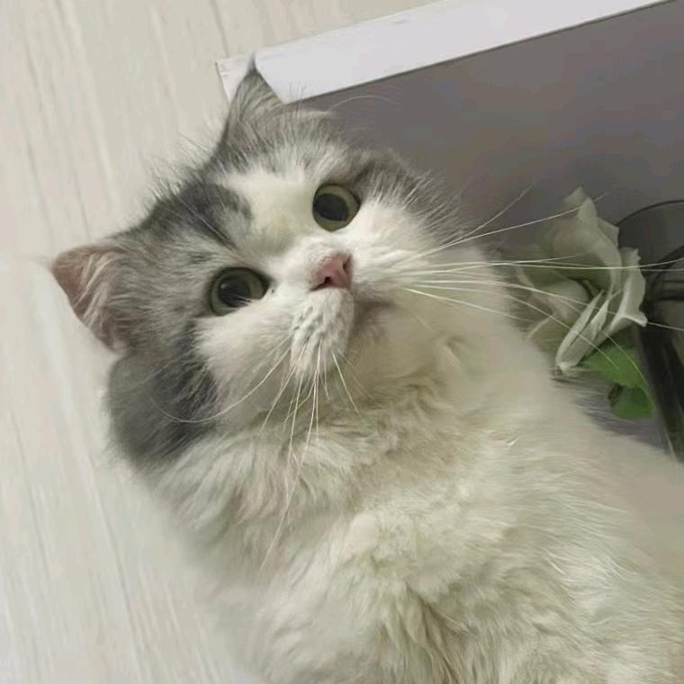小红